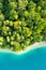 Coastline of the lake with tall coniferous trees and turquoise water