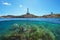 Coastline with a lighthouse at Cabo de Palos in Spain and grassy seabed with fish underwater