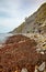 The coastline of Monmouth Beach with the cliffs of Liassic rocks at Chippel Bay. West Dorset. England