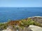 Coastline near Cabo Carvoeiro in daylight, Peniche