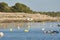 Coastline near Colonia de Sant Jordi or Colonia de San Jorge, Mallorca, Spain, Europe. Panoramic view