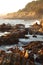 Coastline near Hearst Castle, San Simeon, California, USA