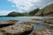 Coastline New Caledonia landscape beach rock pines