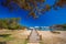 Coastline promenade with pine trees and tourquise clear water at Porto Cervo, Costa Smeralda, Sardinia, Italy