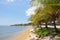 Coastline by the Roatan, Honduras