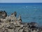 Coastline and rugged lava rocks called Dragonâ€™s Teeth and crashing waves at Makaluapuna Point near Kapalua, Maui, HI, USA