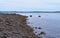 Coastline of Sears Island in Maine