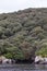 Coastline of The Snares, Subantarctic New Zealand