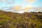 Coasts around Easter Island