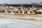 Coastside view Taqah plateau City Salalah Dhofar Sultanate Oman 14