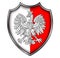 Coat of Arms of Poland, national 3D symbol icon