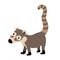 Coati animal cartoon character vector illustration
