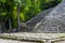 Coba Maya Ruins Nohoch Mul pyramid in tropical jungle Mexico