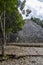 Coba Maya Ruins Nohoch Mul pyramid in tropical jungle Mexico