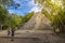 COBA, MEXICO - FEBRUARY 3, 2016: Tourists at the ruins of ancient Mayan city Coba are watching the pyramid and takes a pictures.