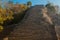 Coba, Mexico, Yucatan: Mayan Nohoch Mul pyramid in Coba. Upstairs are 120 narrow and steep steps.