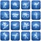 Cobalt Square 2D Icons Set