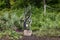 Cobalt stone sculpture titled Blossoming by Onias Muphuma in the Fort Worth Botanic Garden.