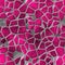 Cobble stones irregular mosaic pattern seamless background - pavement hot pink magenta natural colored pieces on gray