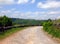 A cobbled country lane curving downhill into the distant wooded valley surrounded by dry stone walls and green fields