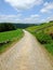 A cobbled country lane curving downhill into the distant wooded valley surrounded by dry stone walls and green fields