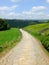 A cobbled country lane curving downhill into the distant wooded valley surrounded by dry stone walls and green fields