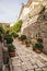 Cobbled lane with flowers in Italy