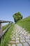 Cobbled path in countryside