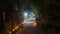 Cobbled path lined with candles, night scene at Buddhist temple during Vesak. Illuminated walkway leads to serene space