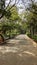 Cobbled Pathway with rocks & greenery