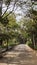 Cobbled Pathway with rocks & greenery