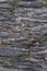 Cobbles in an alley of Cadaques, Spain