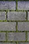 Cobbles close-up with a green grass in the seams. Old stone pavement texture. Cobblestoned pavement . Abstract background.