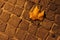 Cobbles and dead leaf at night