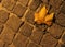 Cobbles and dead leaf at night