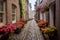 cobblestone alleyway with blooming flowers in window boxes