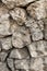 Cobblestone gray beige part of the stone slope powerful wall base design natural surface