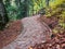 Cobblestone hiking path called Royal Path Poteca Regala in Sinaia, Romania