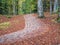 Cobblestone hiking path called Royal Path Poteca Regala in Sinaia, Romania