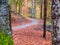 Cobblestone hiking path called Royal Path (Poteca Regala) in Sinaia, Romania. Autumn landscape in Carpathian Mountains
