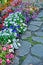 Cobblestone Path with Bedding Flowers