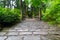 Cobblestone Path to Wood Bridge in manicured Japanese garden