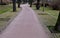 Cobblestone paving in the alley between the trees with larger spacing between the tiles acts as an infiltration area for rainwater