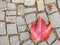 Cobblestone paving footpath with autumn dry colorful leaves, granite cobles