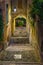 Cobblestone staircase with stairs, green trees and bushes, street lights