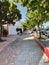 Cobblestone Street lined with Trees