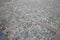 Cobblestoned granite floor background