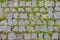 Cobblestoned pavement, green moss between brick background. Old stone pavement texture. Cobbles closeup with green grass