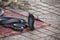 A cobra on a carpet in Marrakech, Morocco