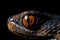 Cobra\\\'s eyes macro close up. AI generated